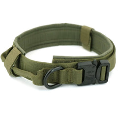 Dog Collar - Starlight Mill459401_KPL1AV9