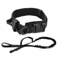 Dog Collar - Starlight Mill459401_KPL1AV9