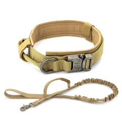 Dog Collar - Starlight Mill459401_W37CRQZ