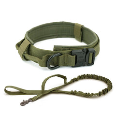 Dog Collar - Starlight Mill459401_YRGTDYN