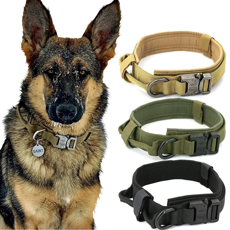 Dog Collar - Starlight Mill459401_KPL1AV9