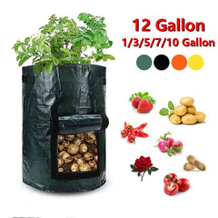 PE Potato Grow Bags - Starlight Mill1225832_GT53CO4