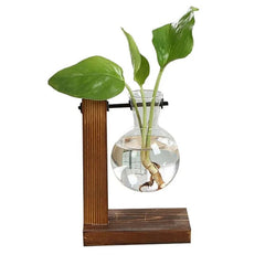 Terrarium Hydroponic Plant Vases - Starlight Mill45962_HGMUWSQ