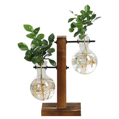 Terrarium Hydroponic Plant Vases - Starlight Mill45962_XZQGBD7