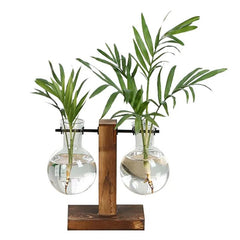 Terrarium Hydroponic Plant Vases - Starlight Mill45962_HGMUWSQ