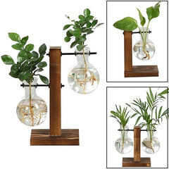 Terrarium Hydroponic Plant Vases - Starlight Mill45962_HGMUWSQ